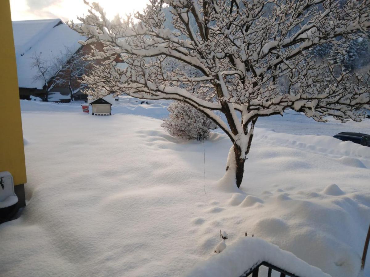 Kolbnitz Guest house *